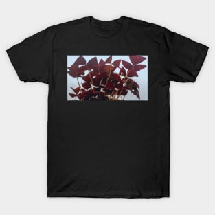 Oxalis T-Shirt